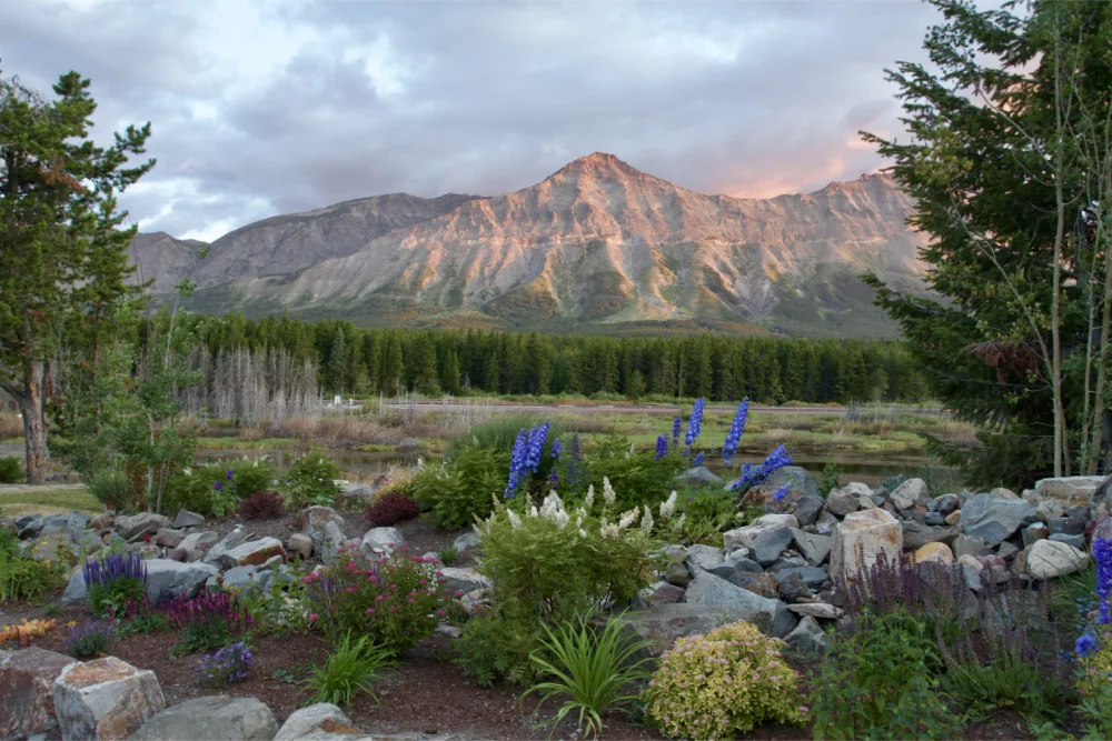 Tips for Planning a Destination Mountain Wedding in Montana/Glacier National Park