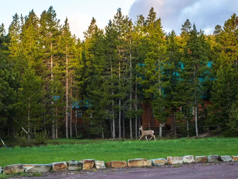 thumb 3 cols why choose 2 corporate retreat montana corporate events