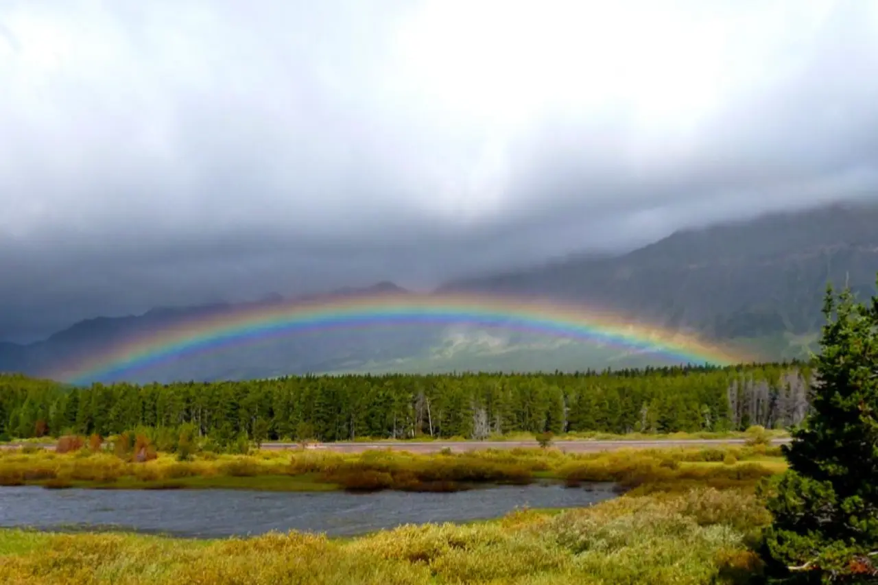 gallery reunion planning easy family reunion montana family reunion 3