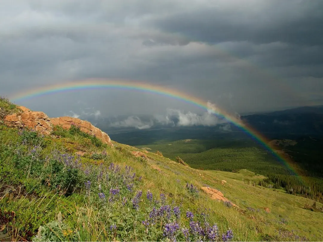 thumb 3 cols 3 family reunion montana family reunion