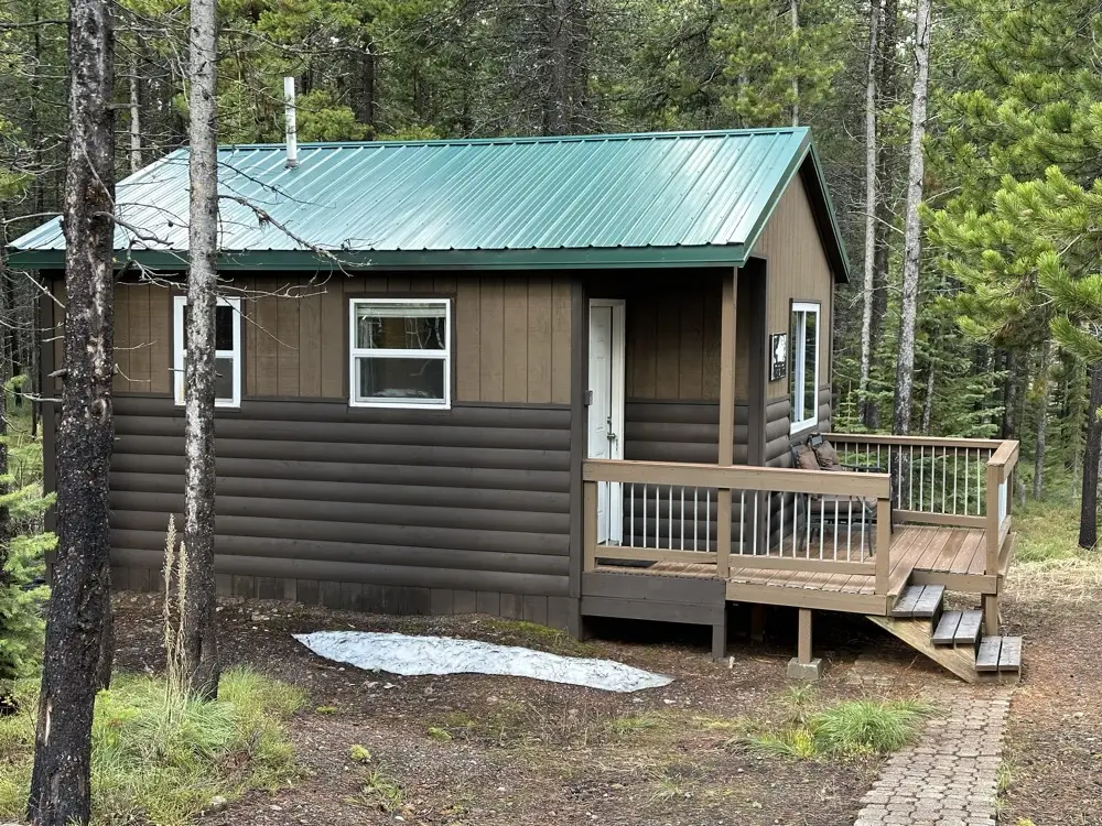 Front view of the Lone Walker cabin with green metal roof nestled among tall pines