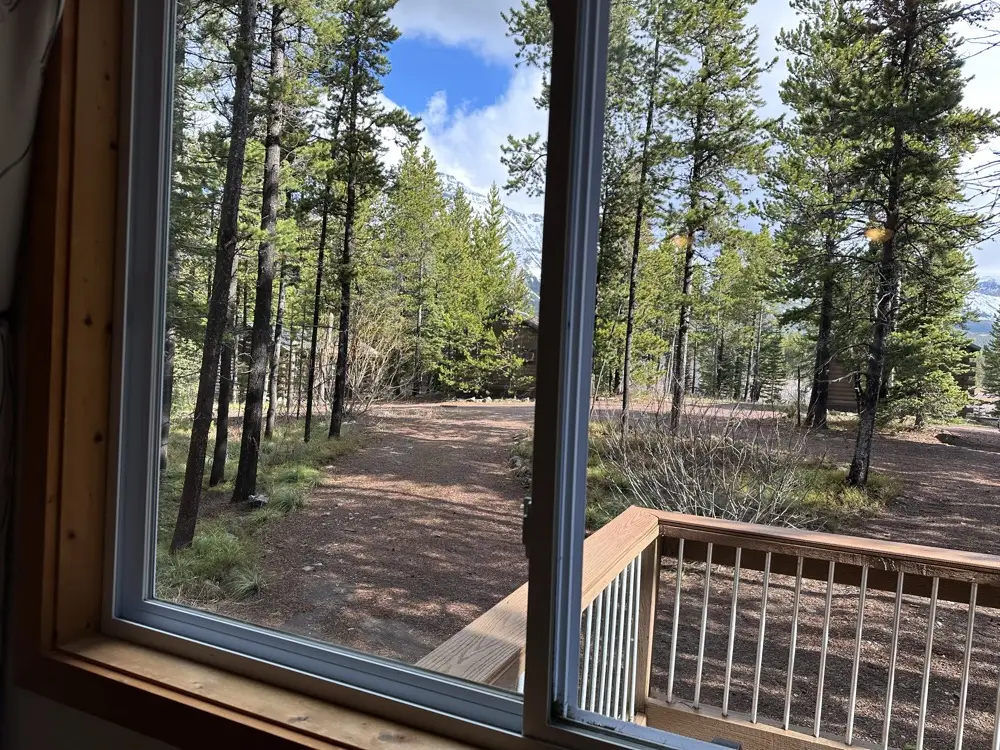 Pine forest and mountain views from the Lone Walker cabin deck